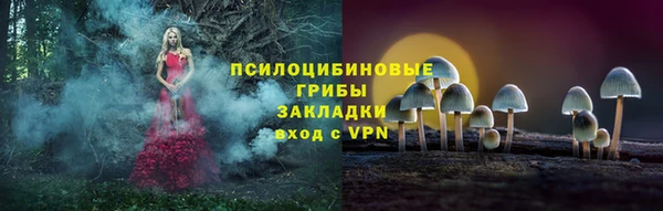 прущие грибы Киреевск