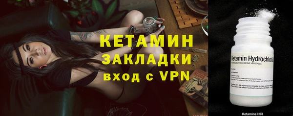 прущие грибы Киреевск