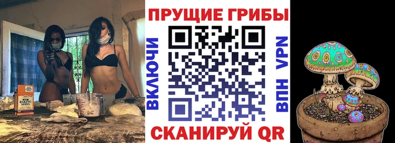 Галлюциногенные грибы Cubensis  купить  сайты  Кузнецк 